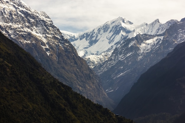 Foto gratuita montañas cubiertas de nieve y un cielo brumoso