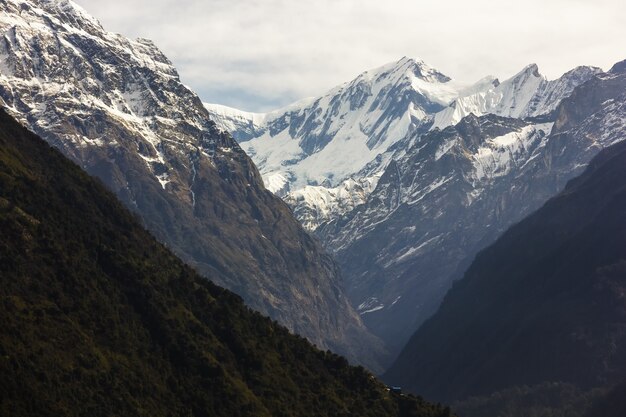 Montañas cubiertas de nieve y un cielo brumoso