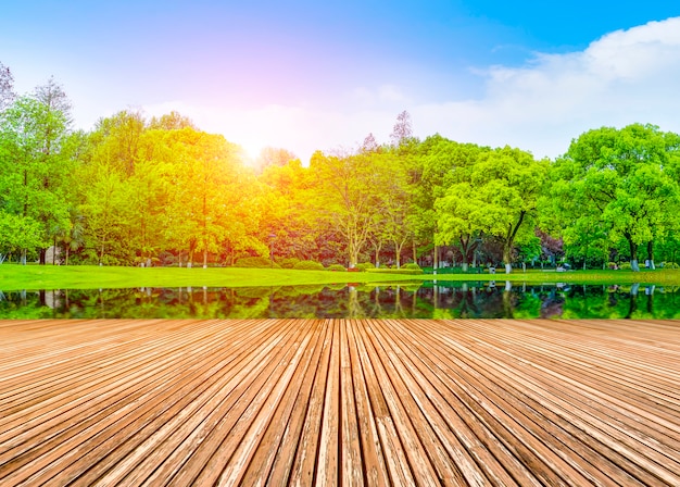 Montañas decoración bosque reflexión forma azul cielo y nubes blancas