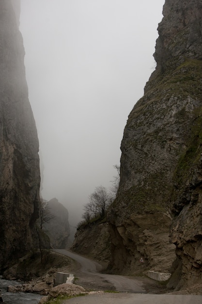 Montañas junto con arbustos contra el cielo nublado