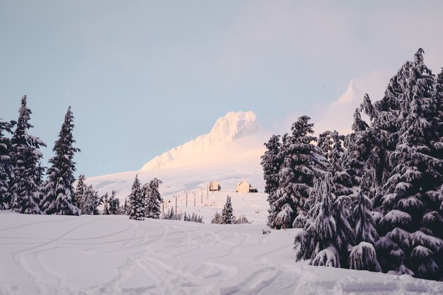 Montañas llenas de nieve blanca, abetos y cabañas bajo un cielo despejado