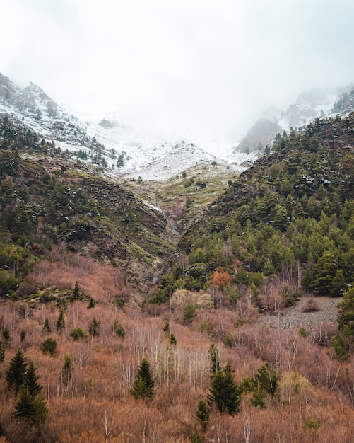 Montañas nevadas y bosque colorido en un día nublado