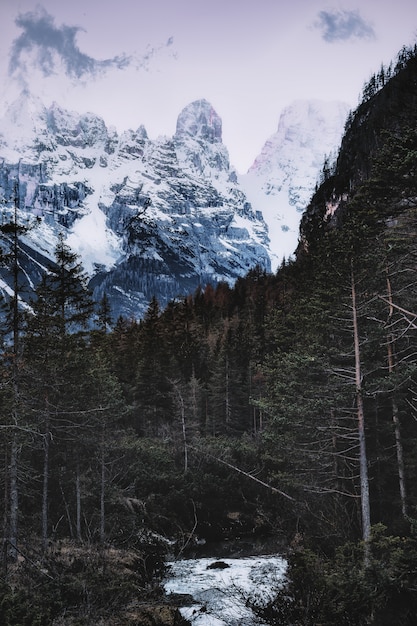 Montañas nevadas cerca del bosque