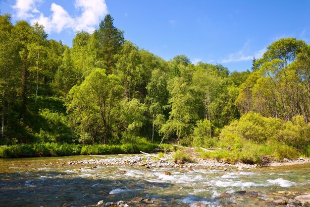 Montañas río en día soleado