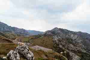 Foto gratuita montañas rocosas cubiertas por árboles en un día nublado