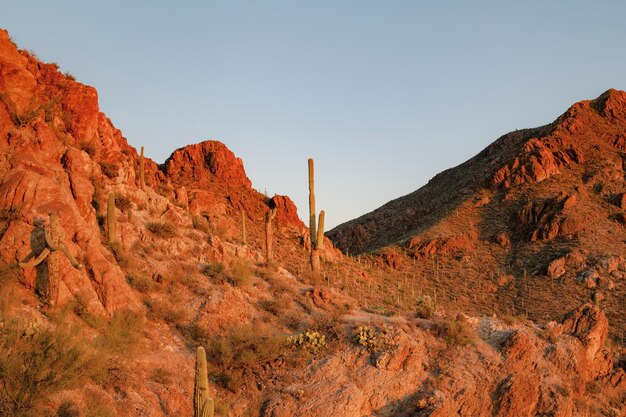 Montañas rocosas con paisaje de naturaleza de fondo del desierto