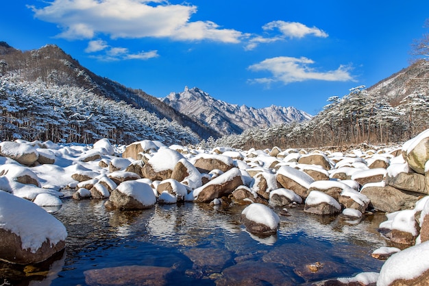 Las montañas de Seoraksan están cubiertas de nieve en invierno, Corea del Sur.