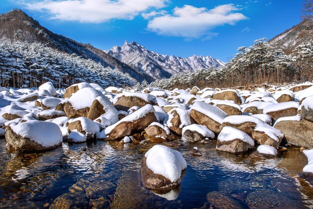 Las montañas Seoraksan están cubiertas de nieve en invierno, Corea del Sur