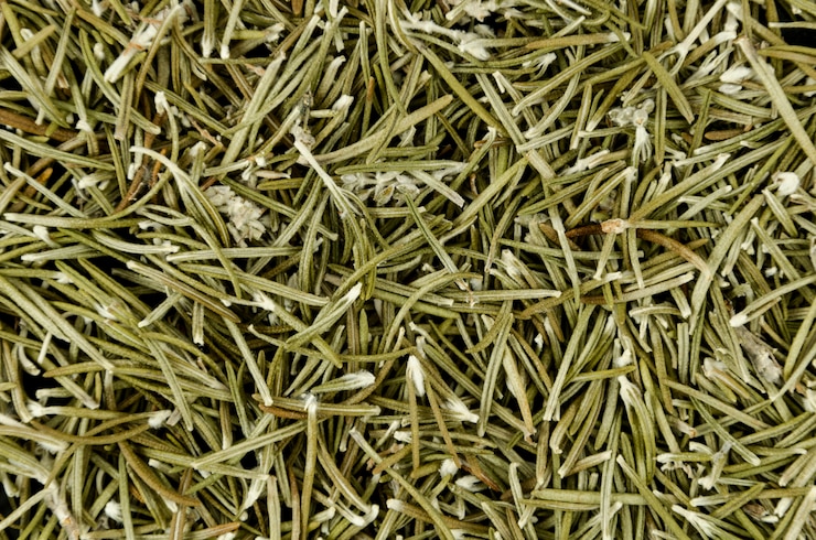 Foto gratuito montón de hojas verdes secas