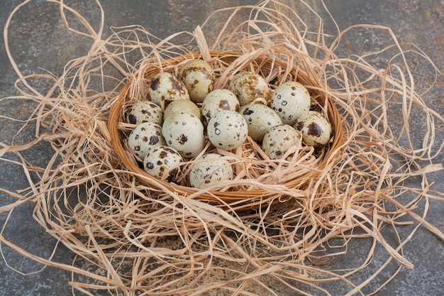 Montón de huevos de codorniz en nido de madera