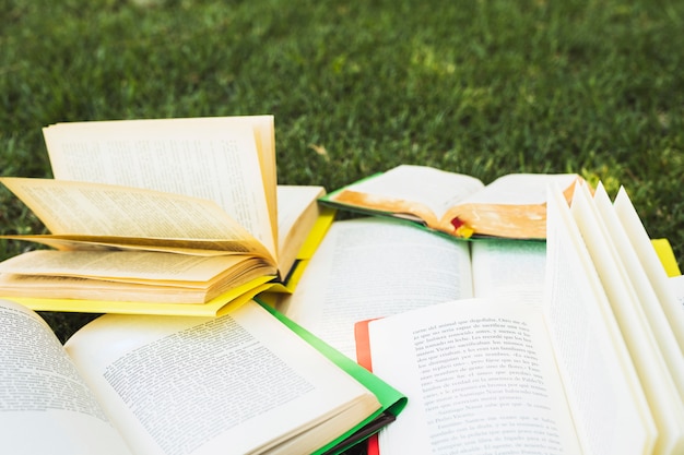 Montón de libros abiertos en el parque