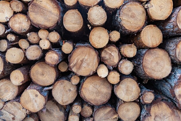 Montón de madera comprada, una pared de buena naturaleza