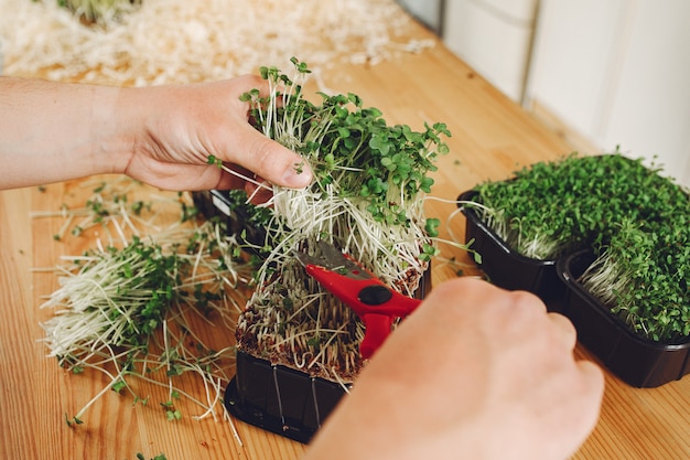 Foto gratuita montón de remolacha micro greens en mesa