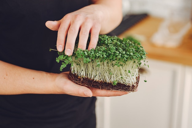 Montón de remolacha micro greens en mesa