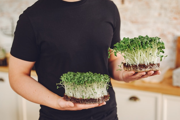 Montón de remolacha micro greens en mesa