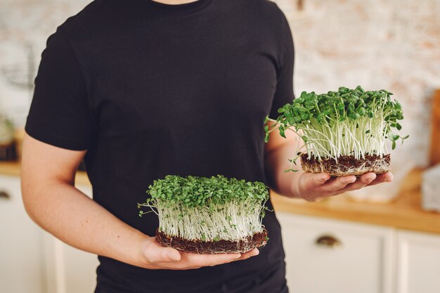 Montón de remolacha micro greens en mesa