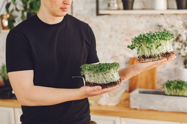 Montón de remolacha micro greens en mesa