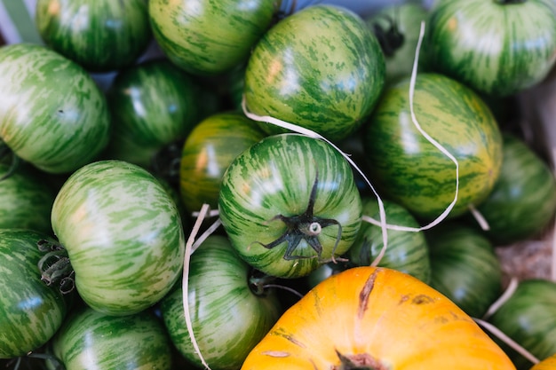 Montón de tomates cebra verdes frescos y deliciosos