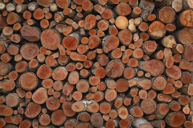 El montón de varios tamaños de troncos de madera.