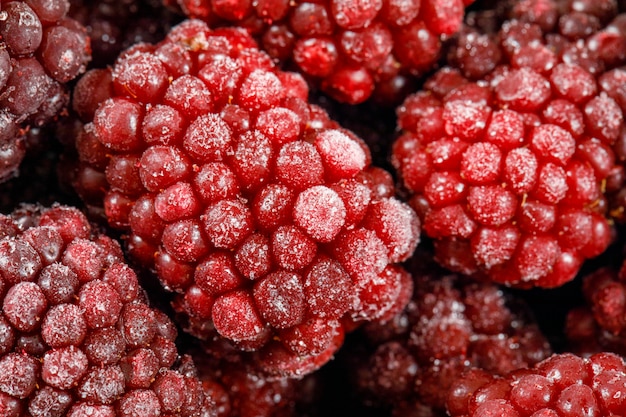 Moras rojas maduras naturales. de cerca.