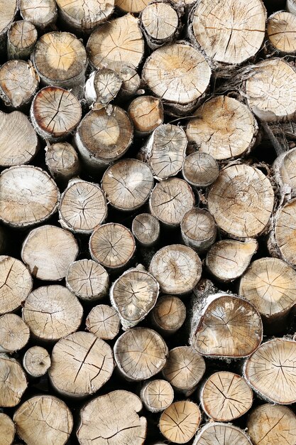 Mucha madera