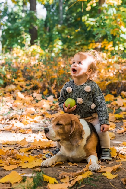 Muchacha bonita que sostiene la bola que se sienta en su perro del beagle del animal doméstico en bosque