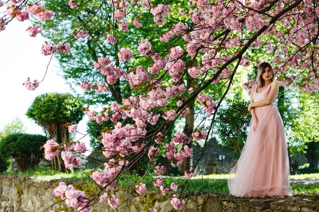 La muchacha en vestido rosado se coloca bajo árbol floreciente de Sakura en el parque