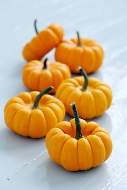 Foto gratuita muchas calabazas pequeñas