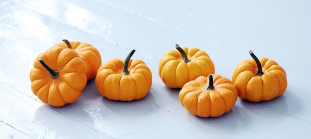 Muchas calabazas pequeñas