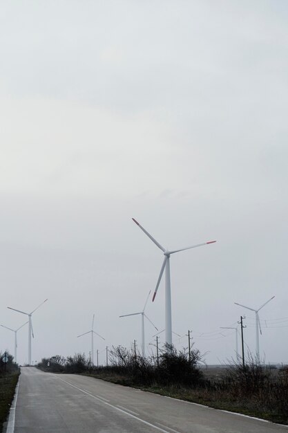 Muchas turbinas eólicas que generan electricidad.