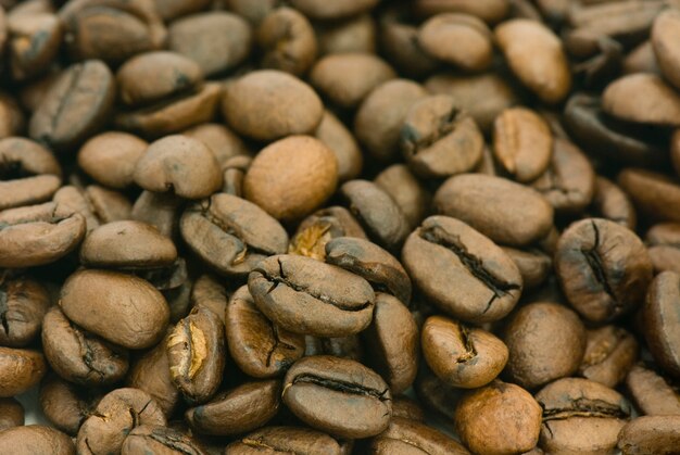 Muchos granos de café