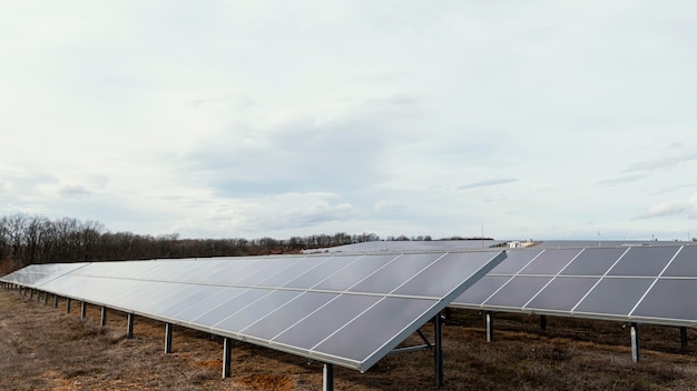 Muchos paneles solares que generan electricidad en el campo.