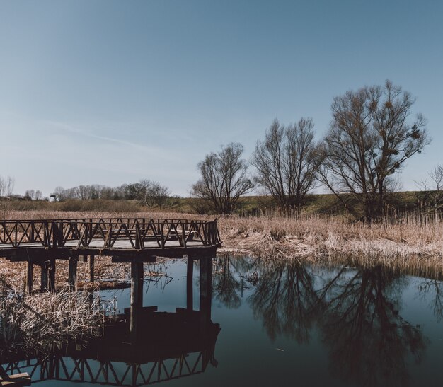 Muelle de madera cerca del lago con el reflejo de los árboles circundantes.