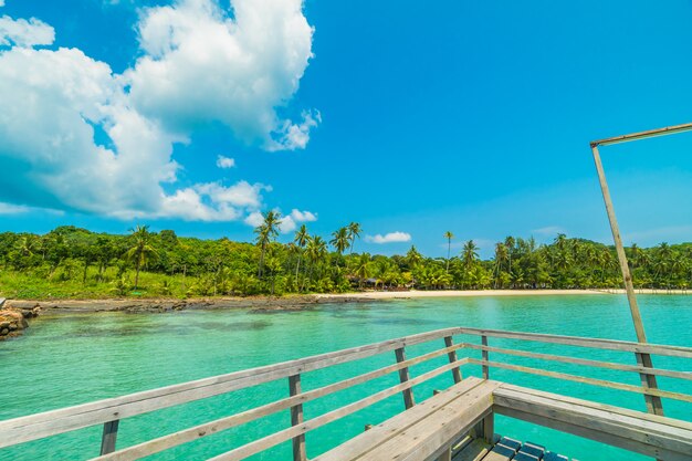 Muelle de madera o puente con playa tropical.