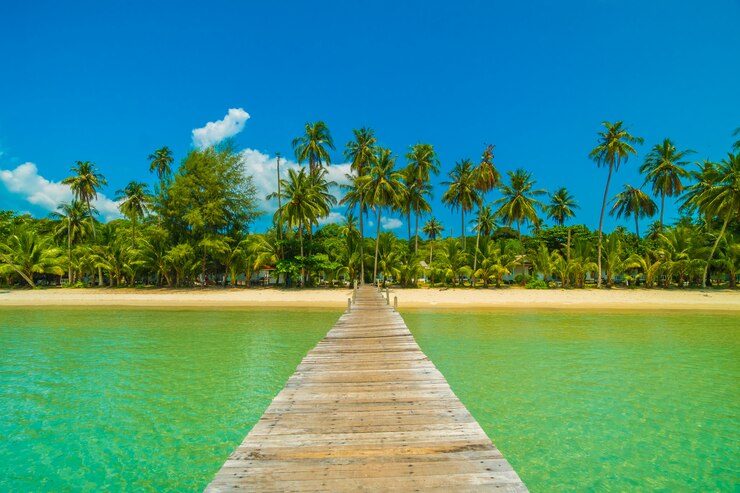 Foto gratuito muelle de madera o puente con playa tropical.