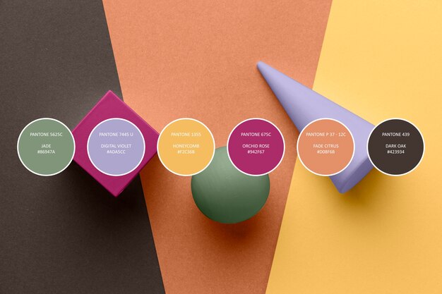 Muestras de colores de moda con diferentes elementos.