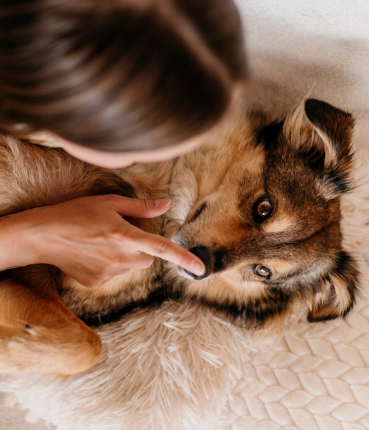 Mujer acariciando adorable perro