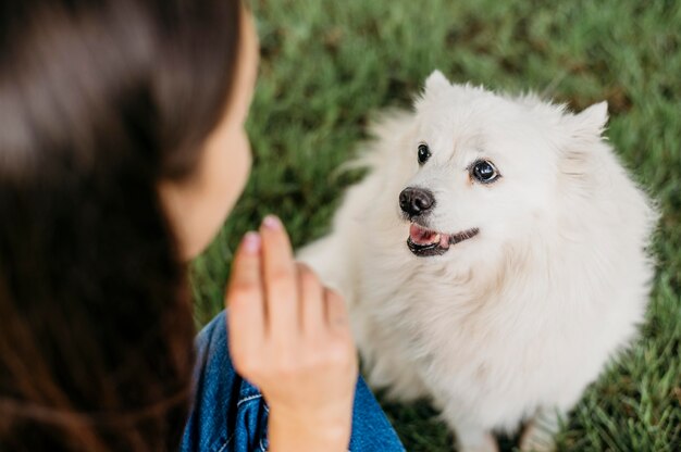 Mujer acariciando adorable perro