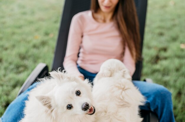 Mujer acariciando perros adorables