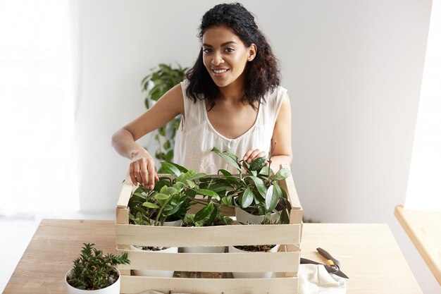 Mujer africana hermosa que sonríe cuidando plantas en caja en el lugar de trabajo. Copia espacio