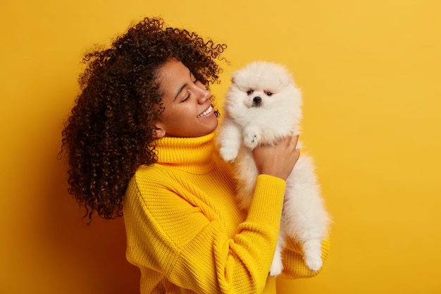 Mujer afroamericana positiva sostiene un perro en miniatura obediente en las manos, pasa el día libre con su mascota favorita, animal comprado en una tienda de mascotas, aislado sobre fondo amarillo.