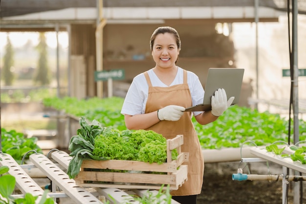 Mujer agricultora asiática que trabaja con una laptop en una granja hidropónica de vegetales orgánicos. Propietario del jardín de ensaladas hidropónicas comprobando la calidad de las verduras en la plantación de invernadero.
