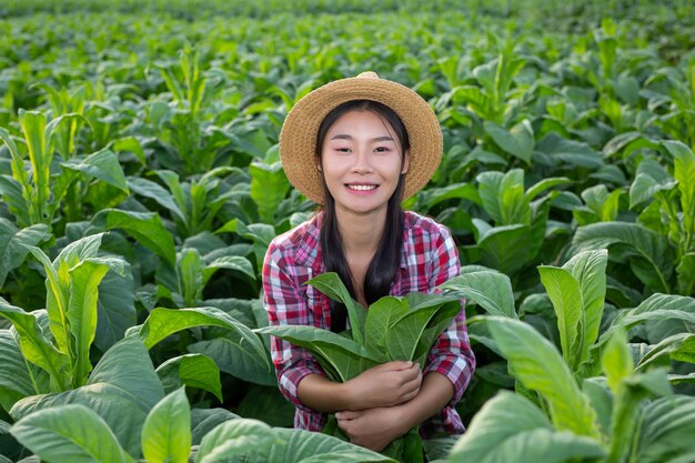 Mujer agricultora ve tabaco en el campo.