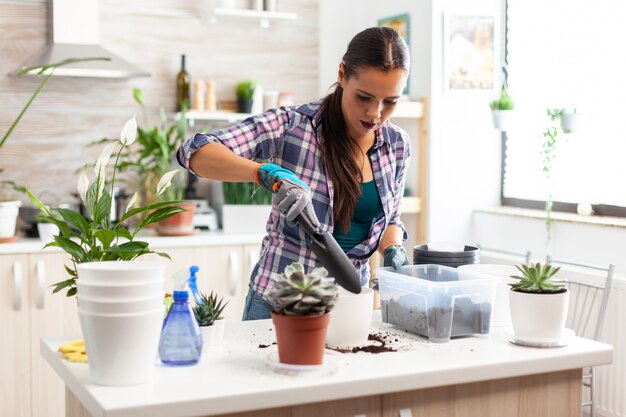 Mujer alegre cuidando de flores domésticas sentado en la mesa de la cocina. Floreria replantando flores en maceta de cerámica blanca con pala, guantes, suelo fertilizante y flores para la decoración de la casa.