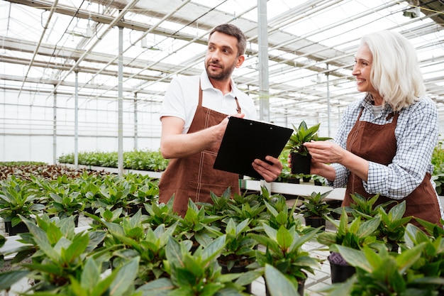 Mujer alegre que muestra la planta a su colega con la carpeta