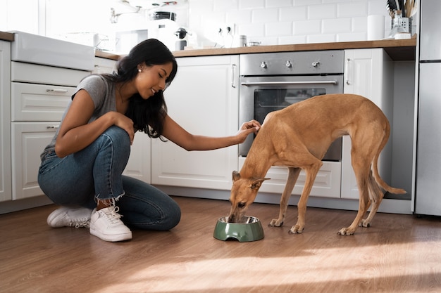 mujer, alimentación, perro, vista lateral