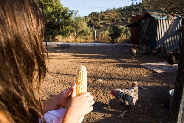 Mujer alimentando semilla de maíz a gallina