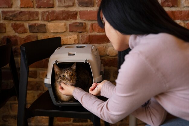 Mujer alimentando a su gato mascota en el transportín