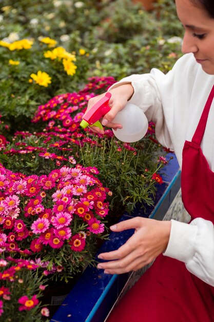 Mujer de alto ángulo rociando flores en invernadero