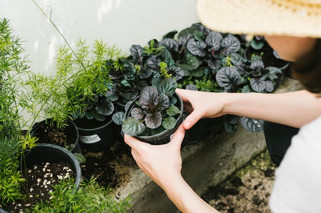 Mujer de alto ángulo sosteniendo una planta